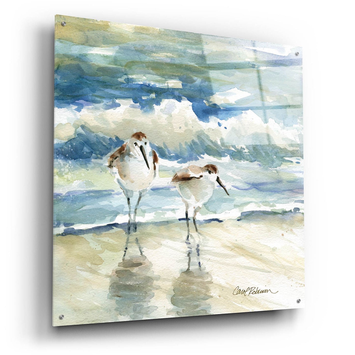 Epic Art 'Beach Birds' by Carol Robinson, Acrylic Glass Wall Art,36x36