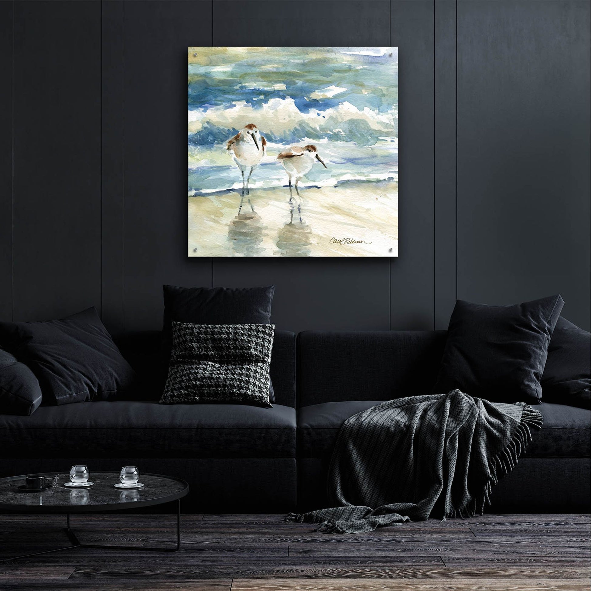 Epic Art 'Beach Birds' by Carol Robinson, Acrylic Glass Wall Art,36x36