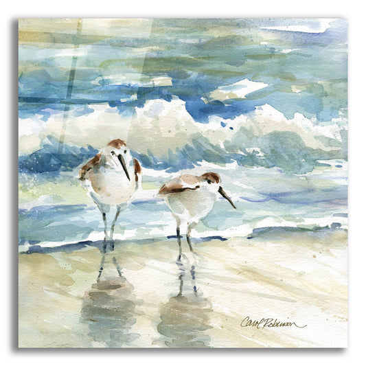 Epic Art 'Beach Birds' by Carol Robinson, Acrylic Glass Wall Art