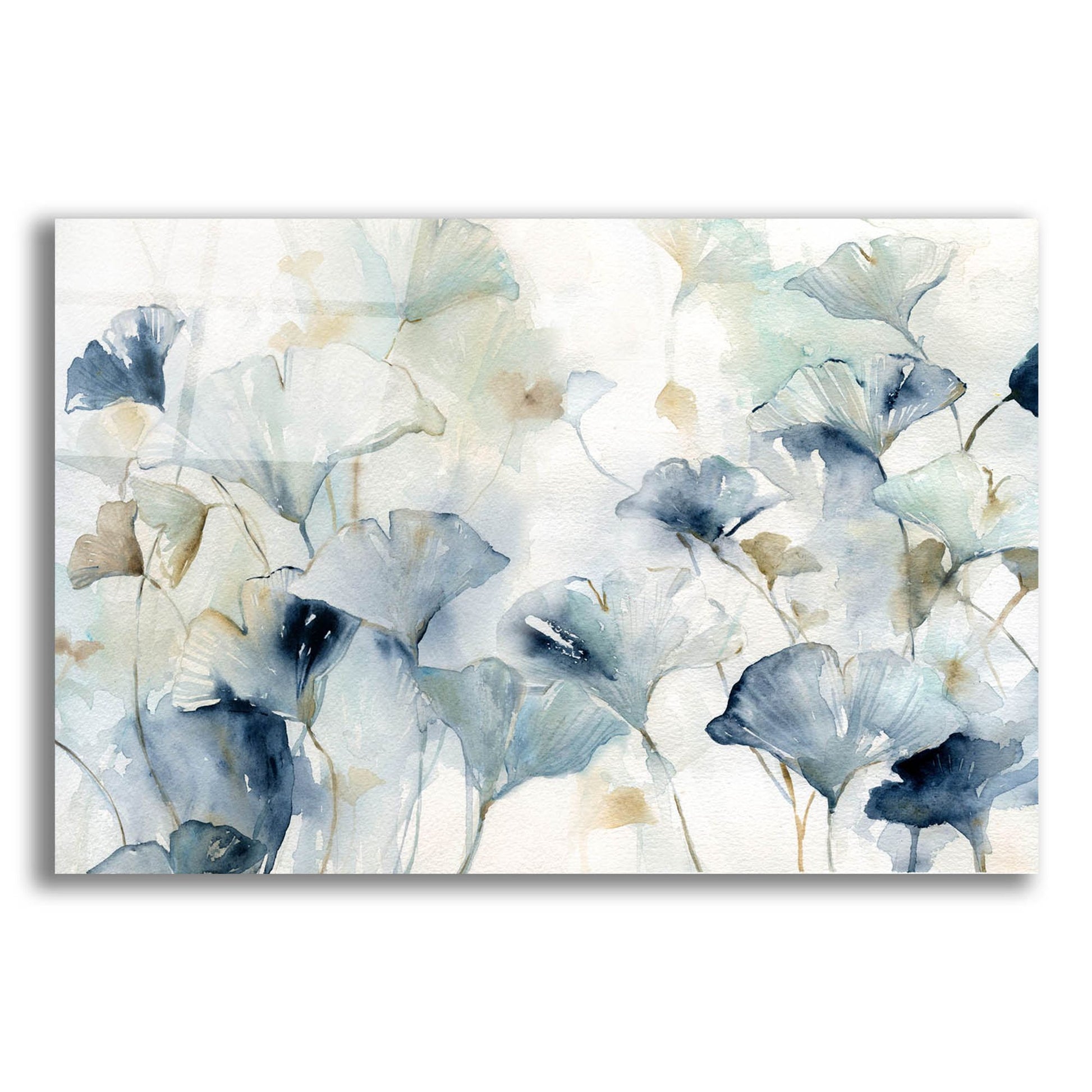 Epic Art 'Glorious ginkgo' by Carol Robinson, Acrylic Glass Wall Art,24x16