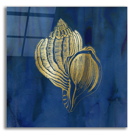 Epic Art 'Indigo Sea Treasure III' by Carol Robinson, Acrylic Glass Wall Art