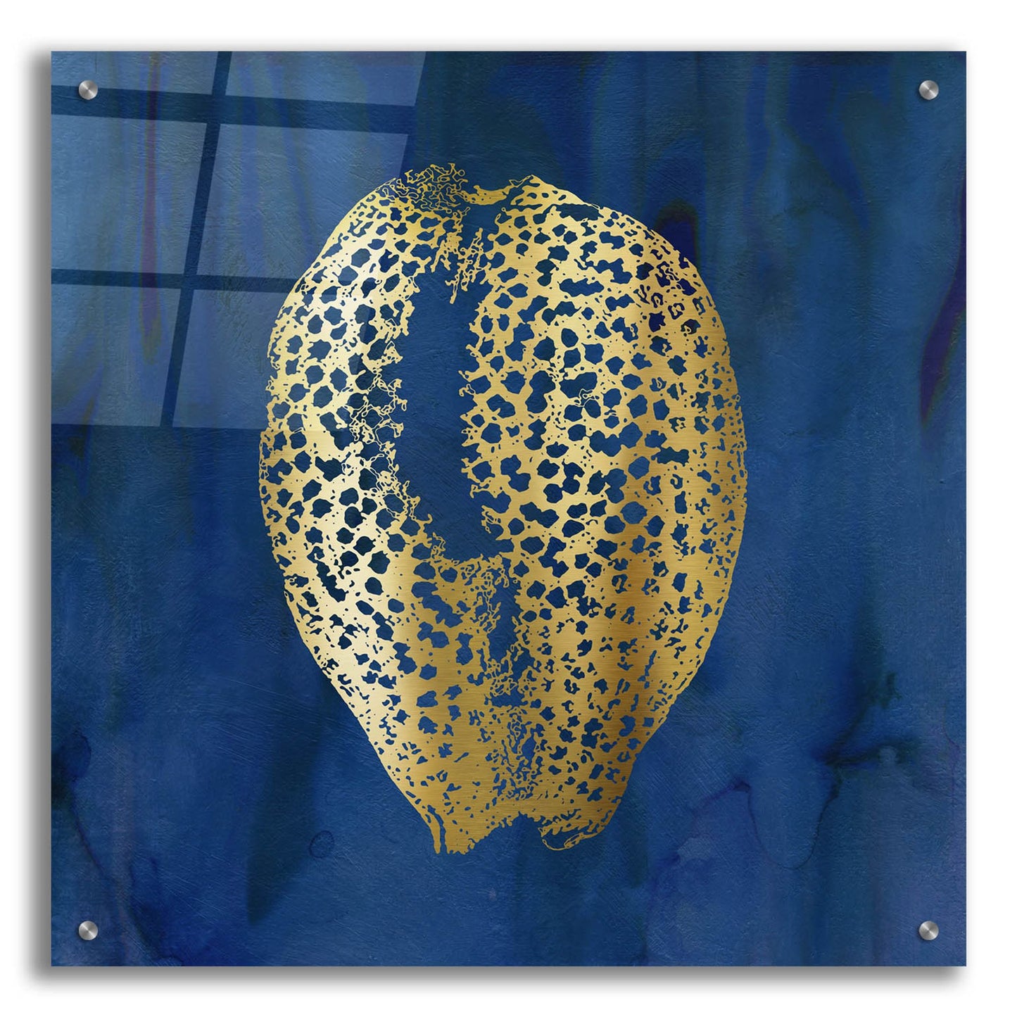 Epic Art 'Indigo Sea Treasure IV' by Carol Robinson, Acrylic Glass Wall Art