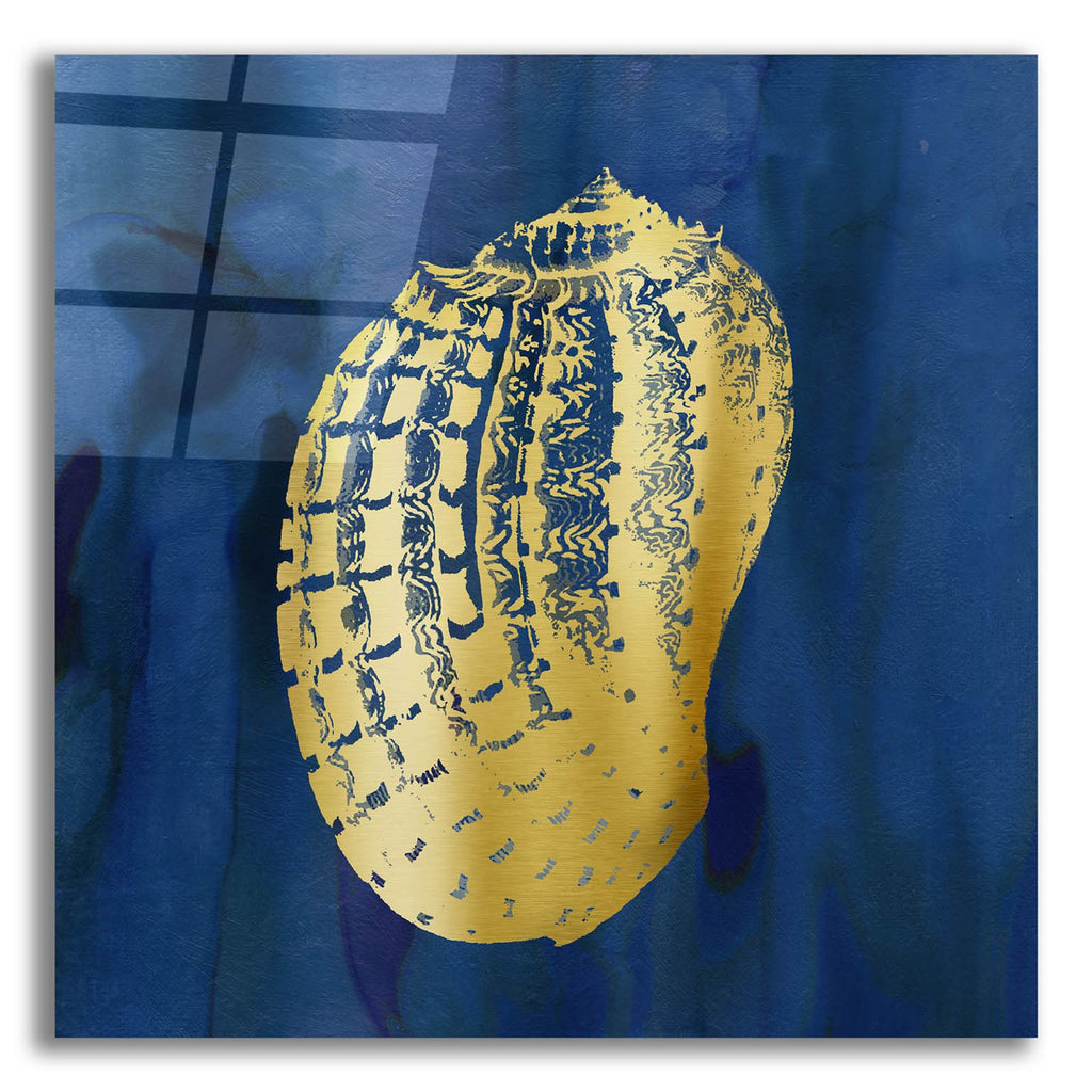 Indigo Sea Treasure VII by Carol Robinson acrylic glass wall art