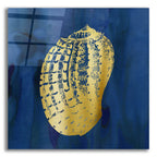 Indigo Sea Treasure VII by Carol Robinson acrylic glass wall art