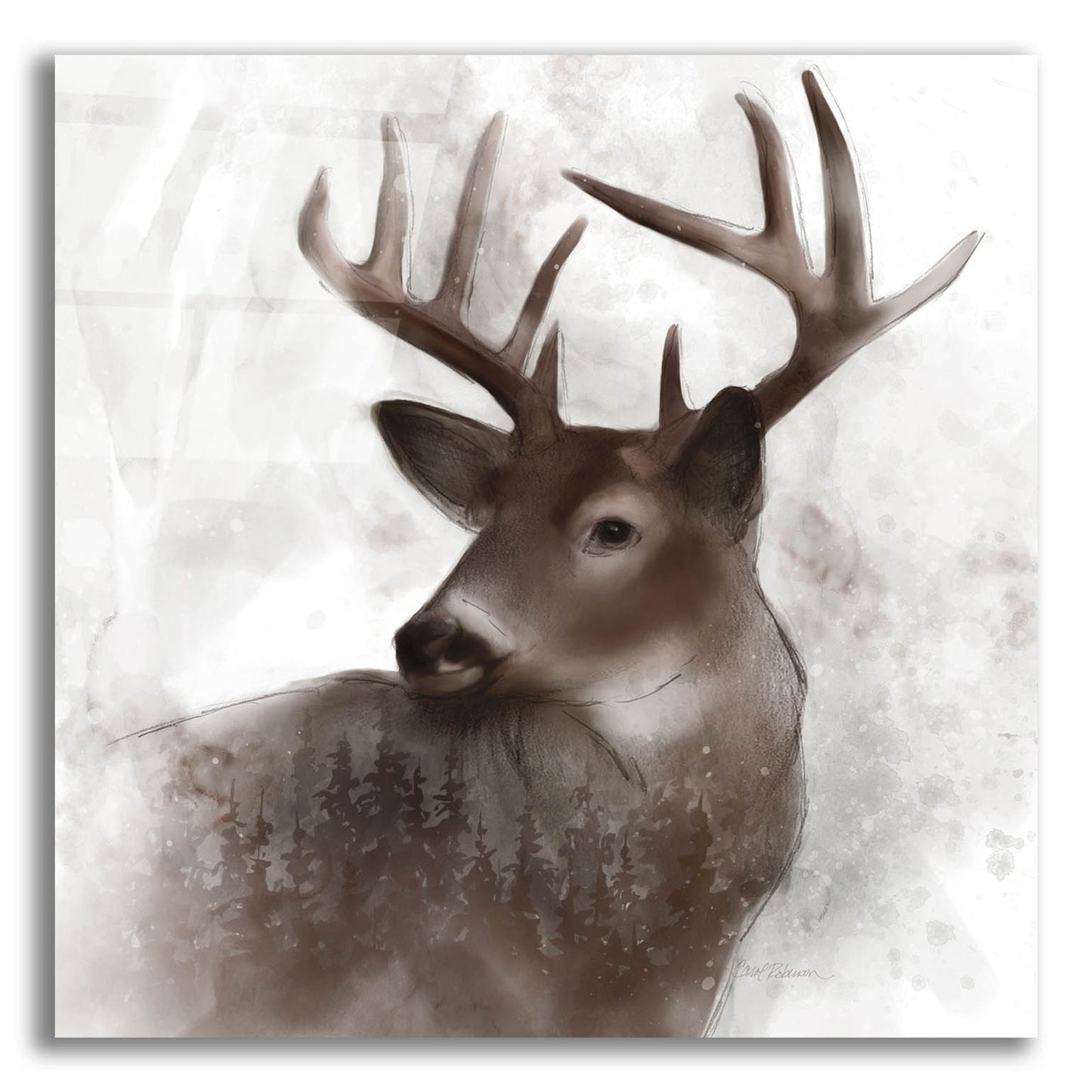 Epic Art 'Forest Deer' by Carol Robinson, Acrylic Glass Wall Art