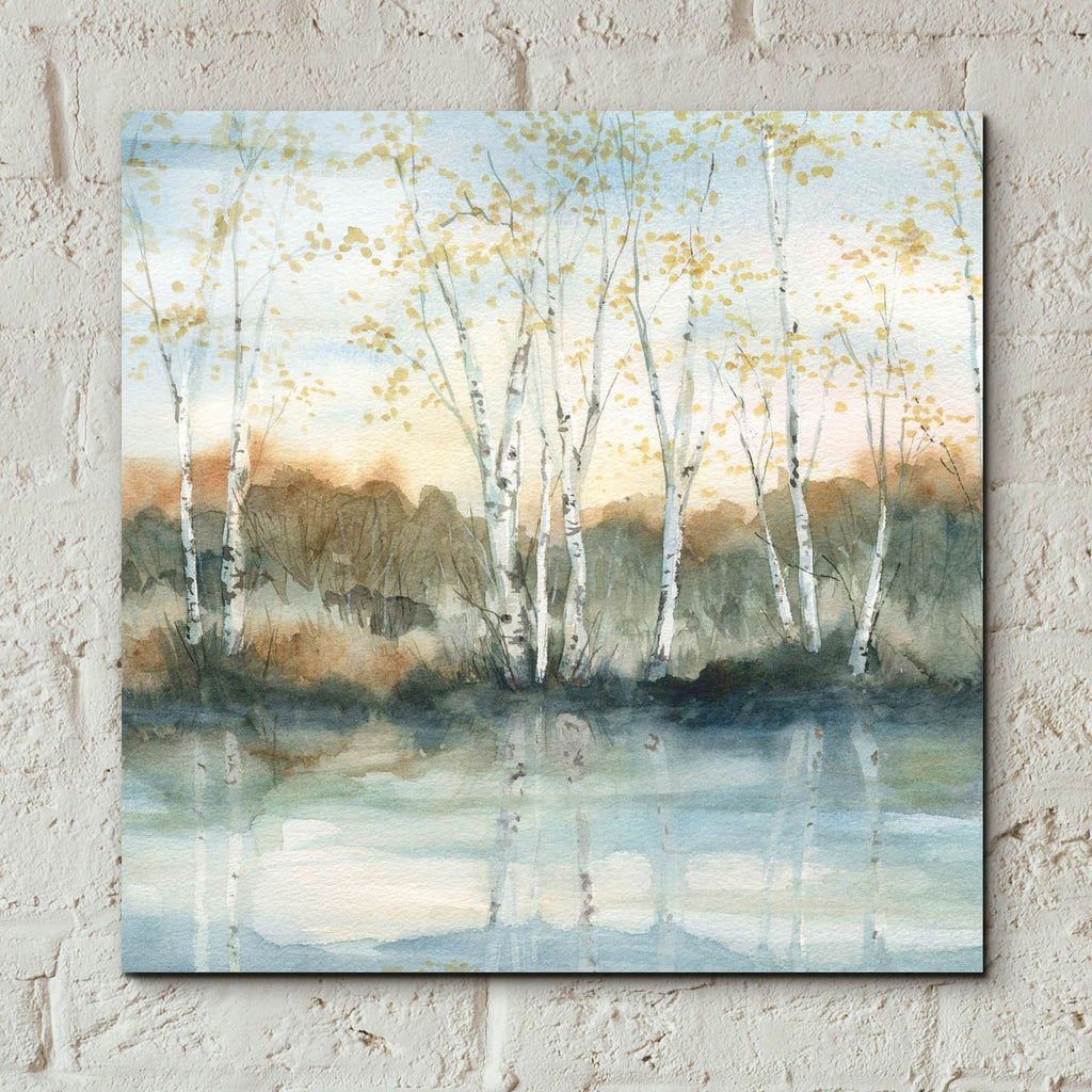 Birch Riverbank by Carol Robinson - 12x12 acrylic wall art in a room