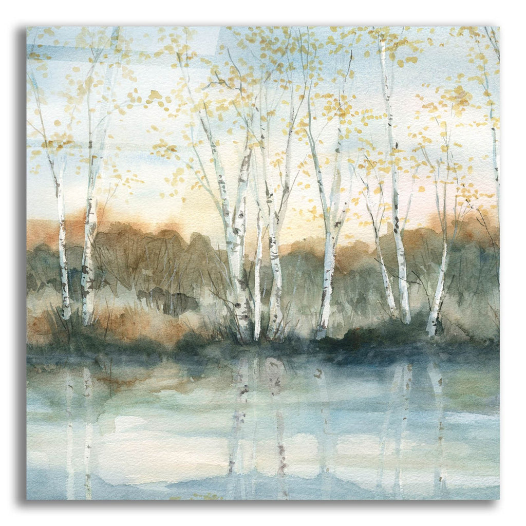 Birch Riverbank by Carol Robinson acrylic glass wall art