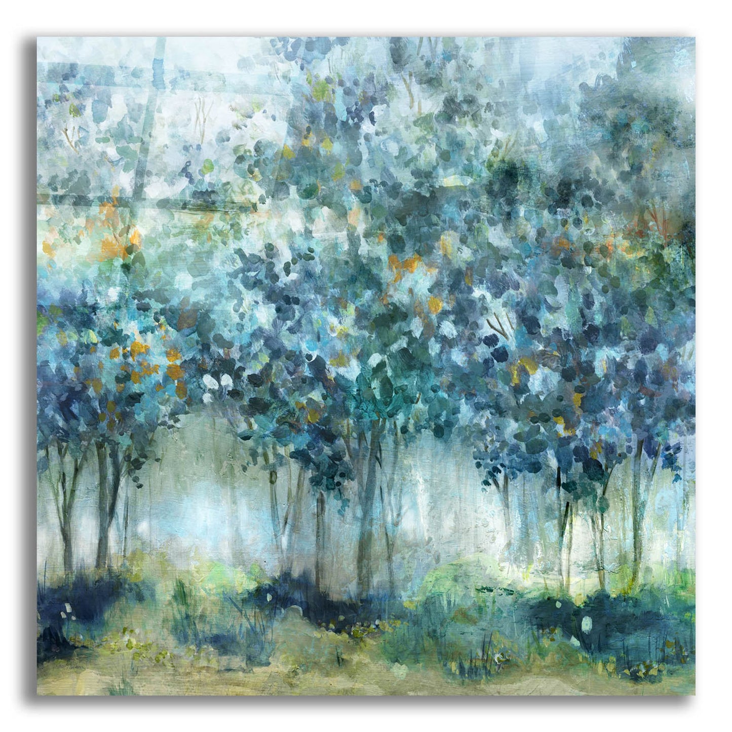 Epic Art 'Treetop Mist' by Carol Robinson, Acrylic Glass Wall Art