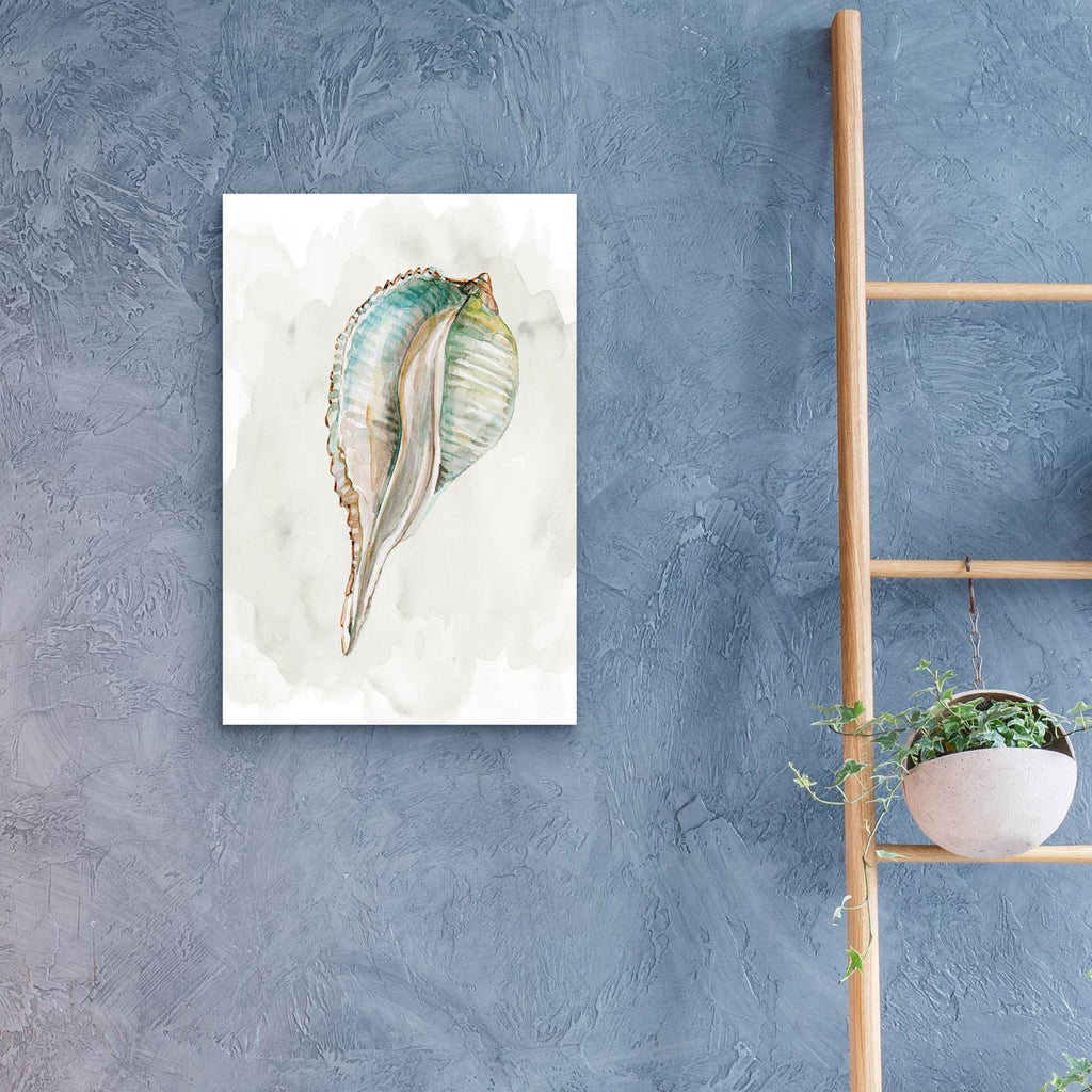 Pastel Shell I by Carol Robinson - 16x24 acrylic wall art in a room