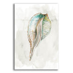 Pastel Shell I by Carol Robinson acrylic glass wall art