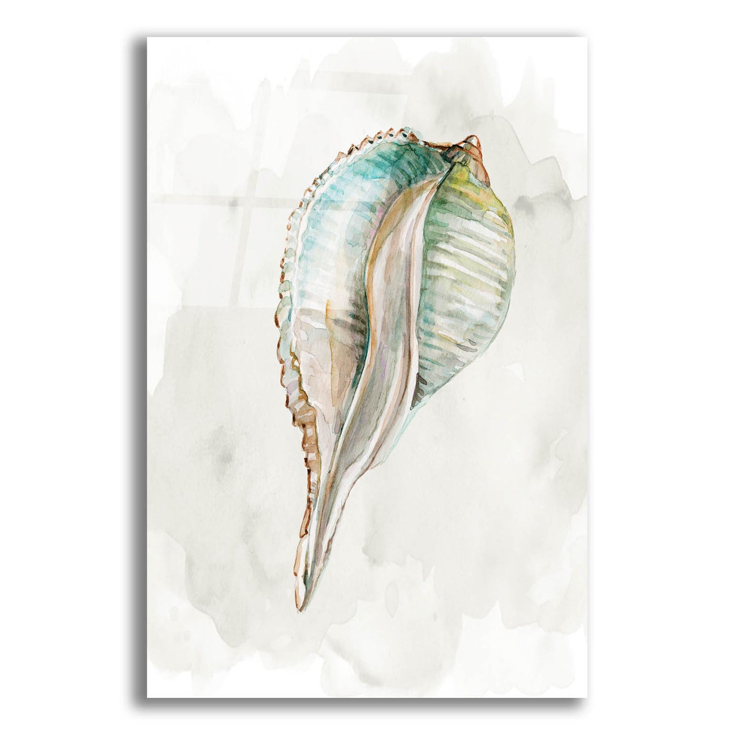 Epic Art 'Pastel Shell I' by Carol Robinson, Acrylic Glass Wall Art