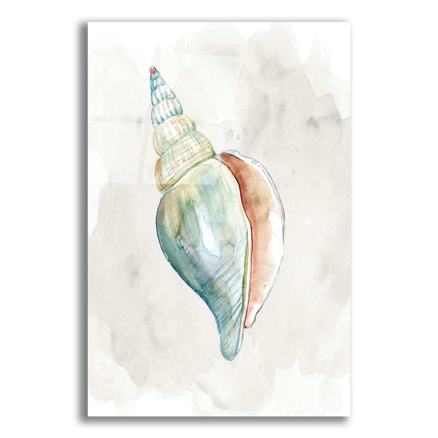 Epic Art 'Pastel Shell II' by Carol Robinson, Acrylic Glass Wall Art