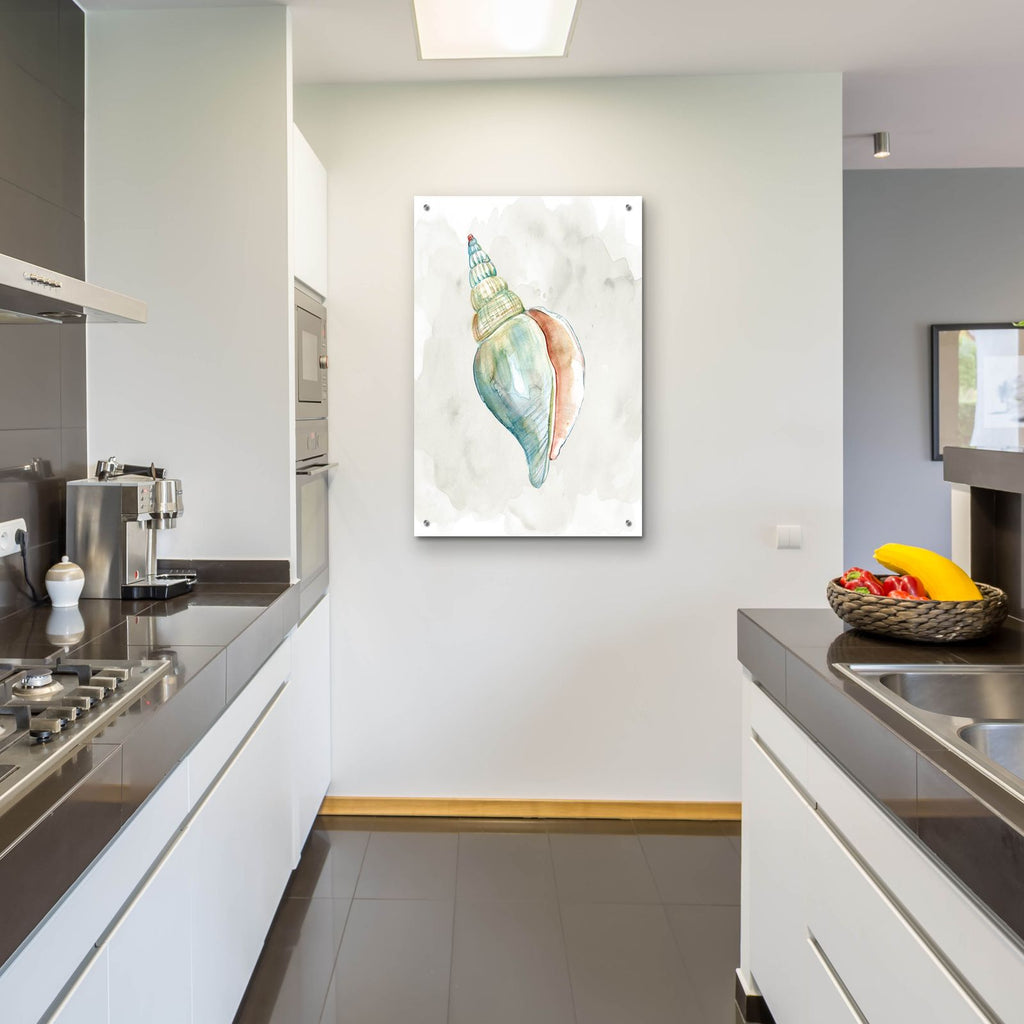 Pastel Shell II by Carol Robinson - 24x36 acrylic wall art in a room