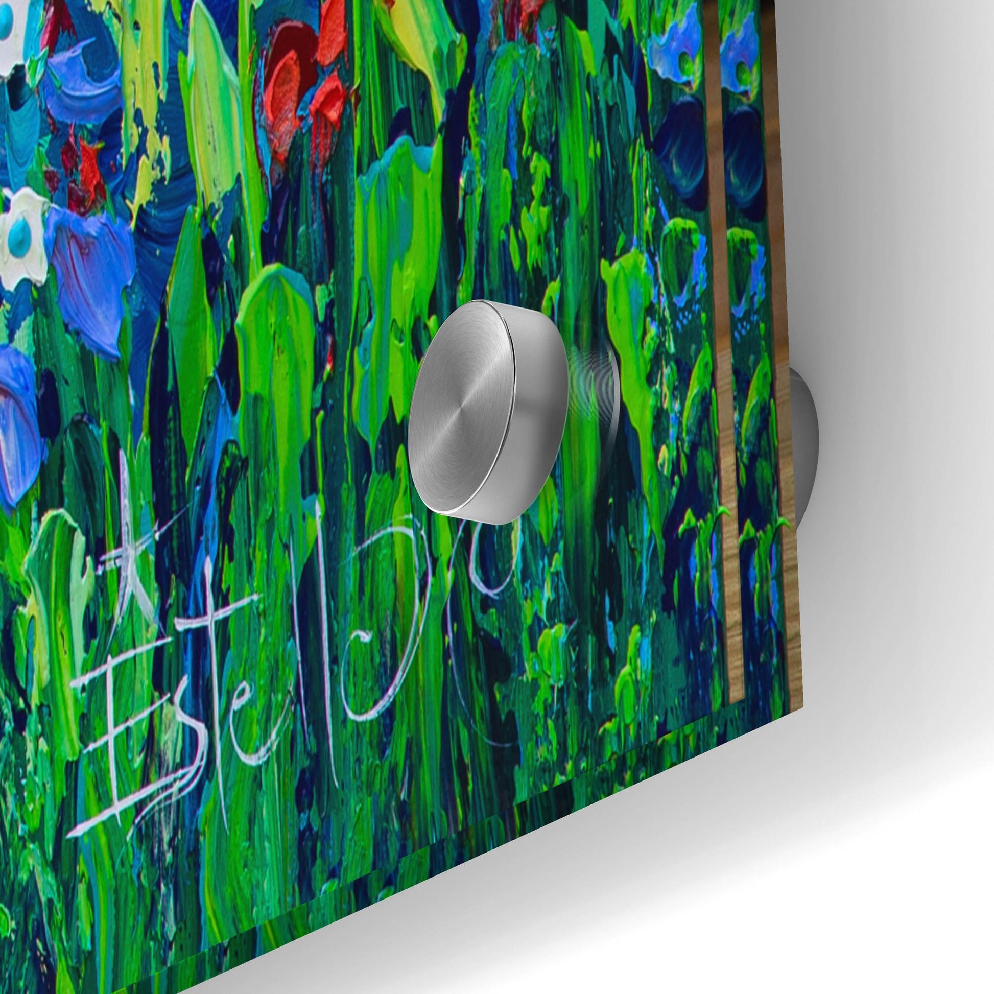 Epic Art 'Botanical Garden' by Estelle Grengs, Acrylic Glass Wall Art,36x24