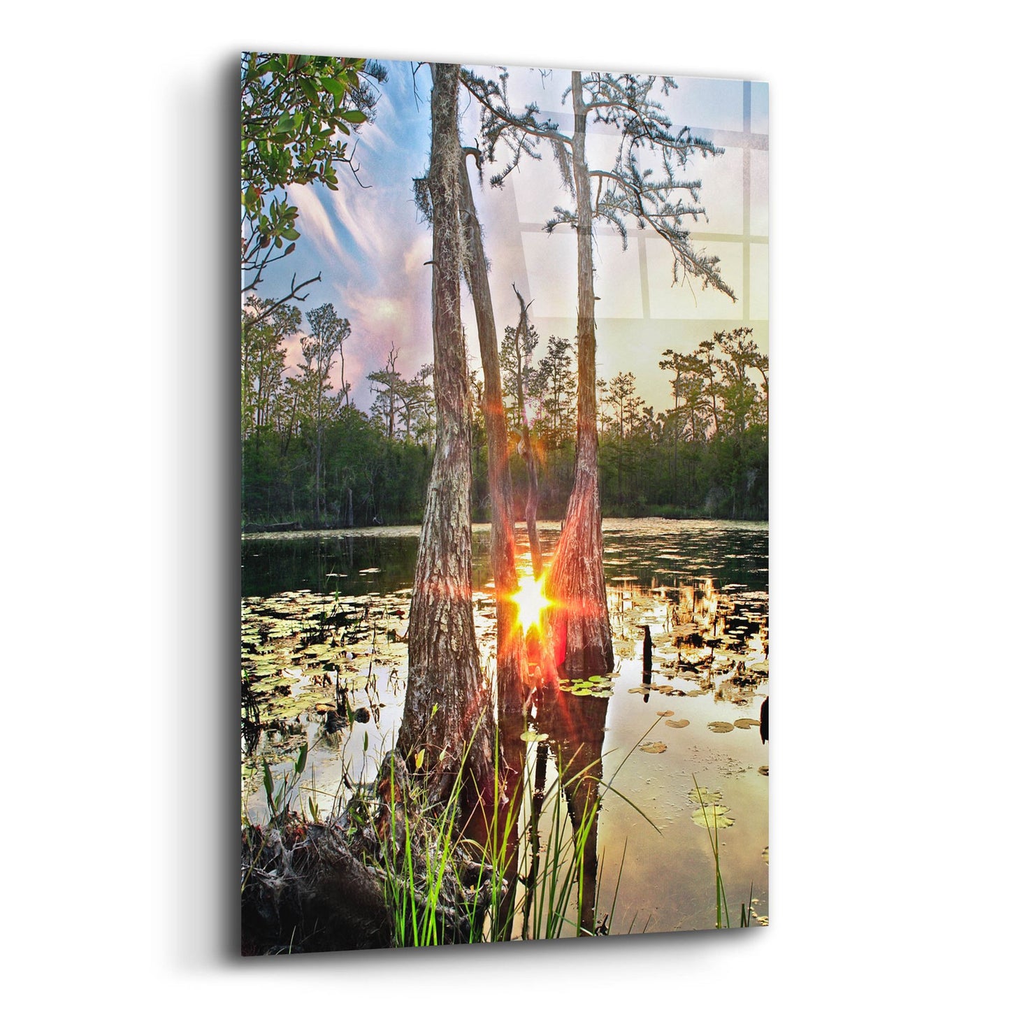 Epic Art 'Cypress Swamp Sunset Red Sun Reflection Lily Pads' by Ezra Tanner, Acrylic Glass Wall Art,12x16