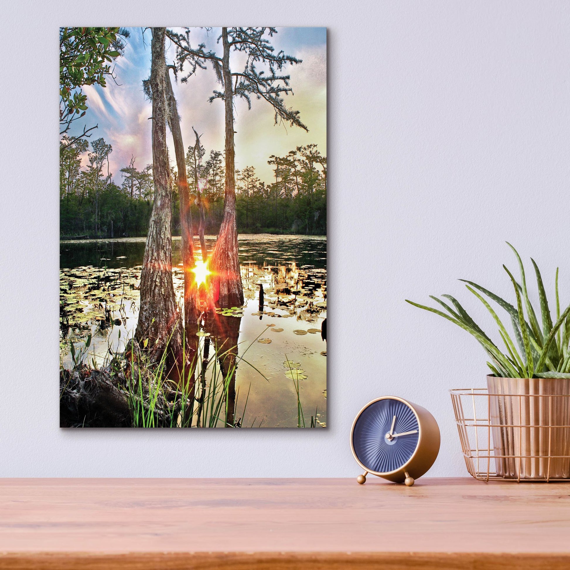 Epic Art 'Cypress Swamp Sunset Red Sun Reflection Lily Pads' by Ezra Tanner, Acrylic Glass Wall Art,12x16