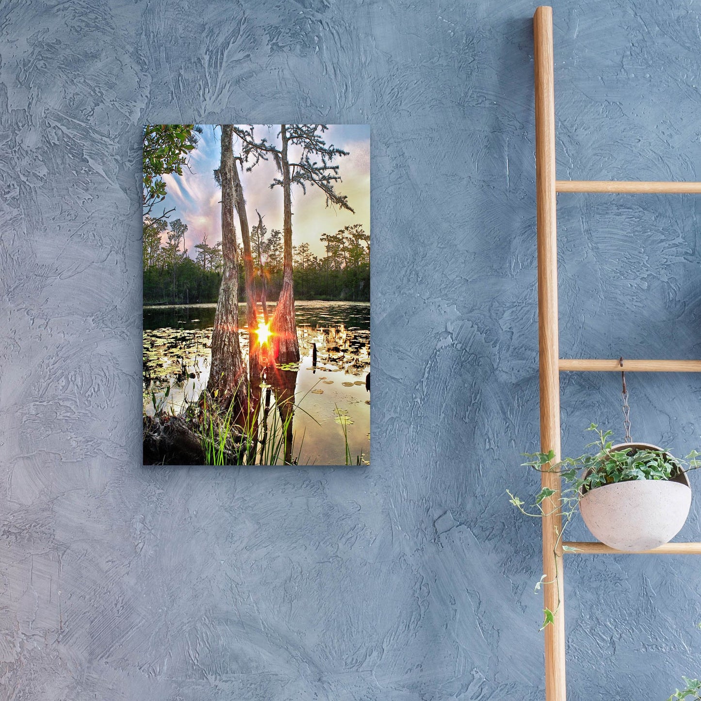 Epic Art 'Cypress Swamp Sunset Red Sun Reflection Lily Pads' by Ezra Tanner, Acrylic Glass Wall Art,16x24