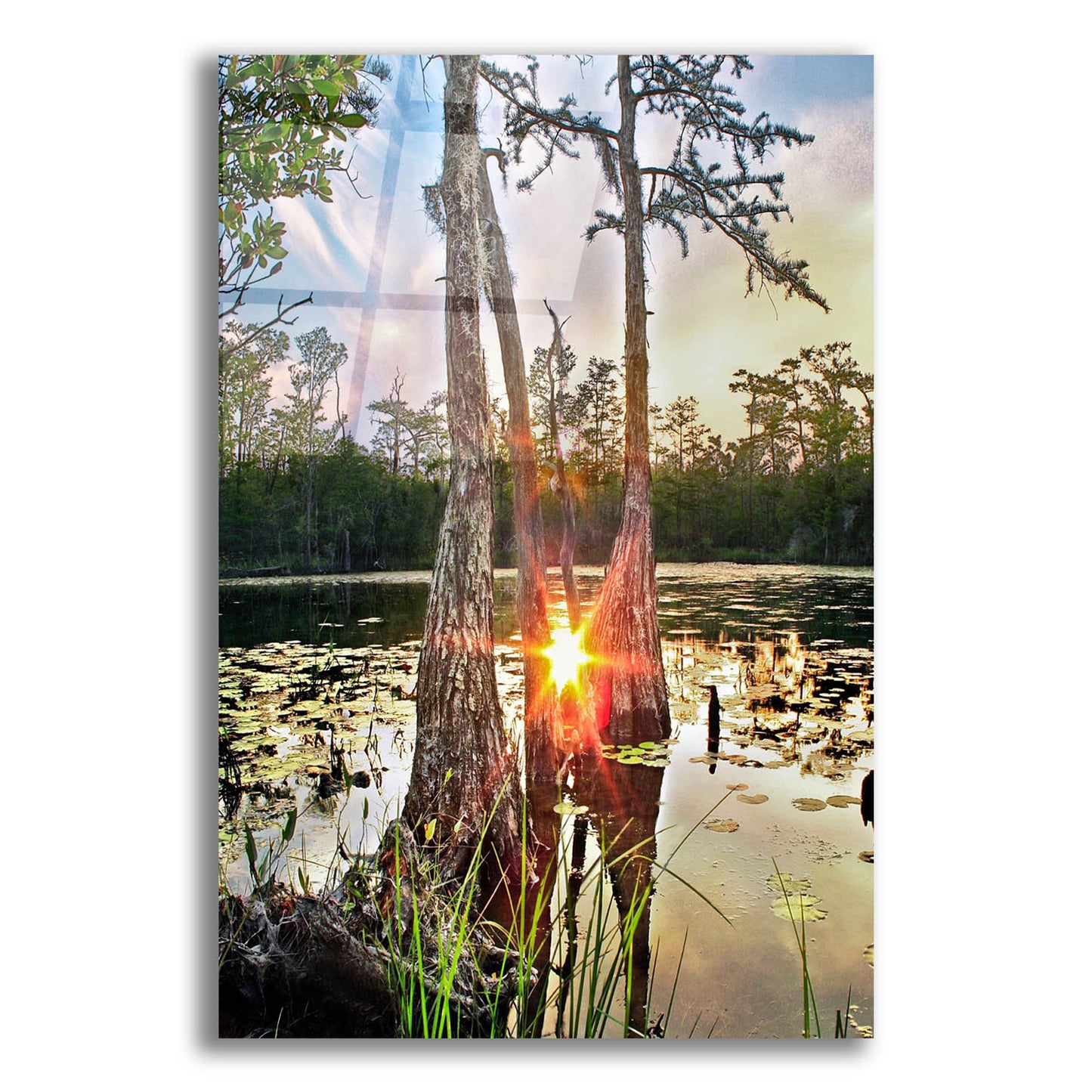 Epic Art 'Cypress Swamp Sunset Red Sun Reflection Lily Pads' by Ezra Tanner, Acrylic Glass Wall Art