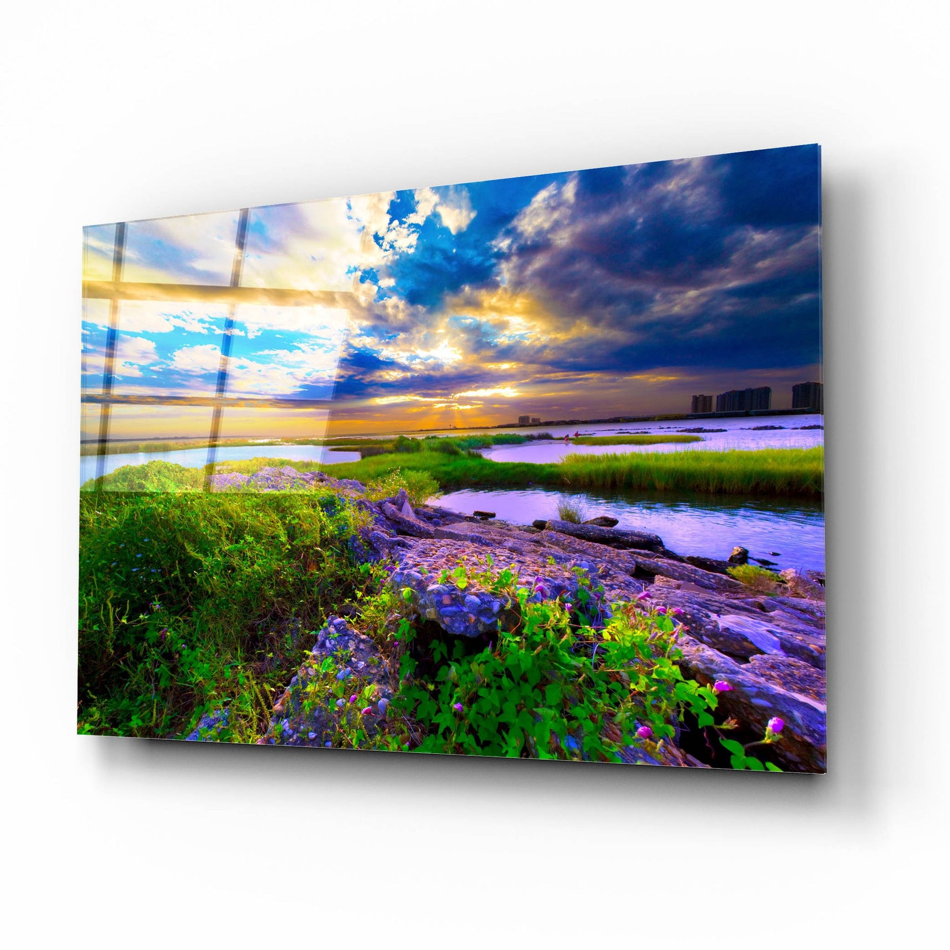 Epic Art 'Morning Glory Wildflowers And Purple Cloud Sunrise' by Ezra Tanner, Acrylic Glass Wall Art,16x12