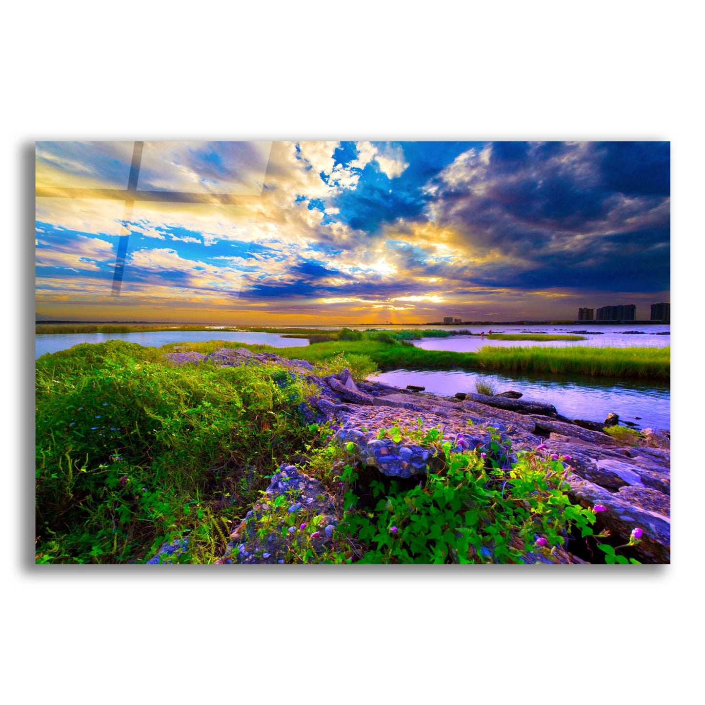 Epic Art 'Morning Glory Wildflowers And Purple Cloud Sunrise' by Ezra Tanner, Acrylic Glass Wall Art,24x16