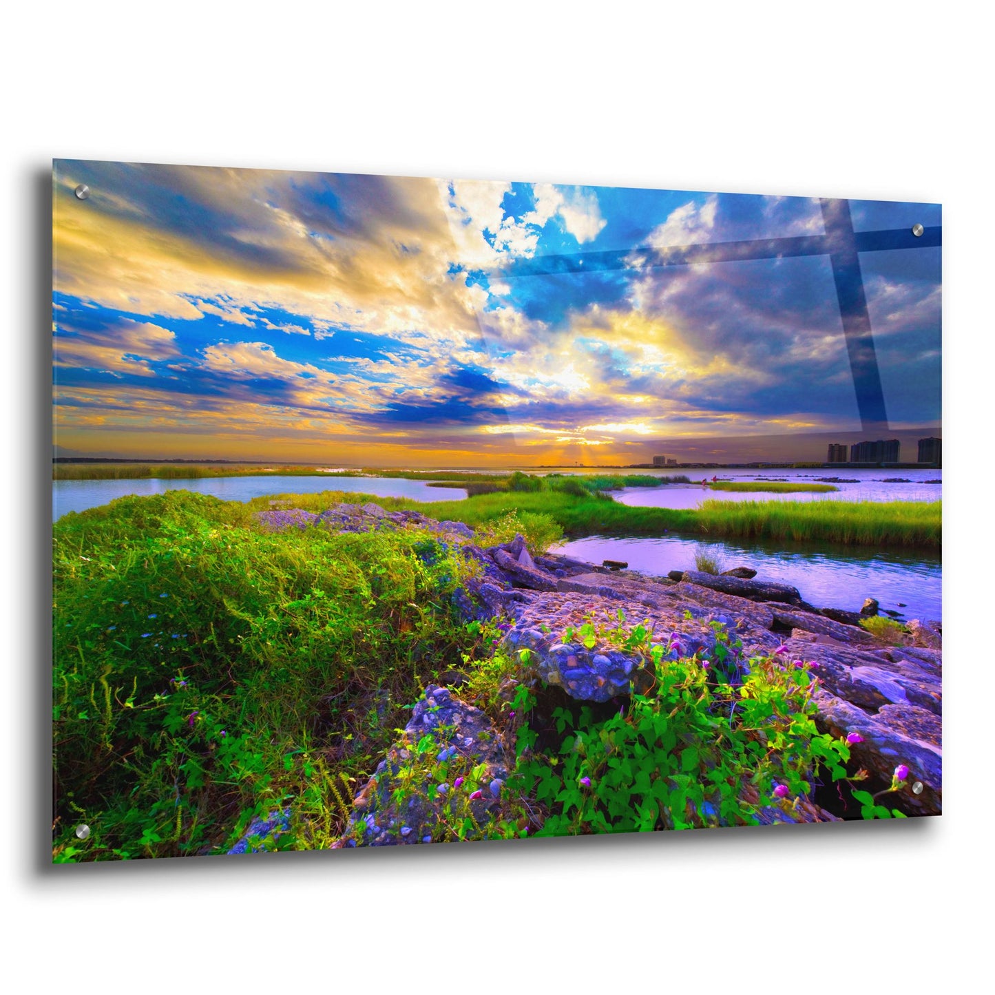 Epic Art 'Morning Glory Wildflowers And Purple Cloud Sunrise' by Ezra Tanner, Acrylic Glass Wall Art,36x24