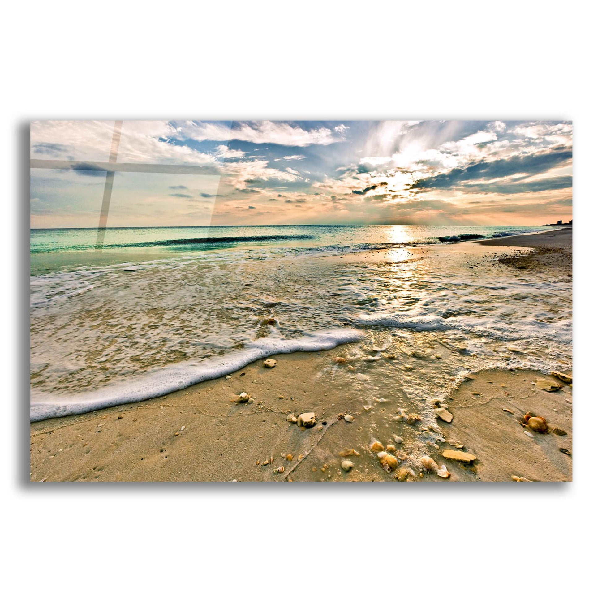 Epic Art 'Emerald Green Shell Covered Beach Sunset' by Ezra Tanner, Acrylic Glass Wall Art,24x16