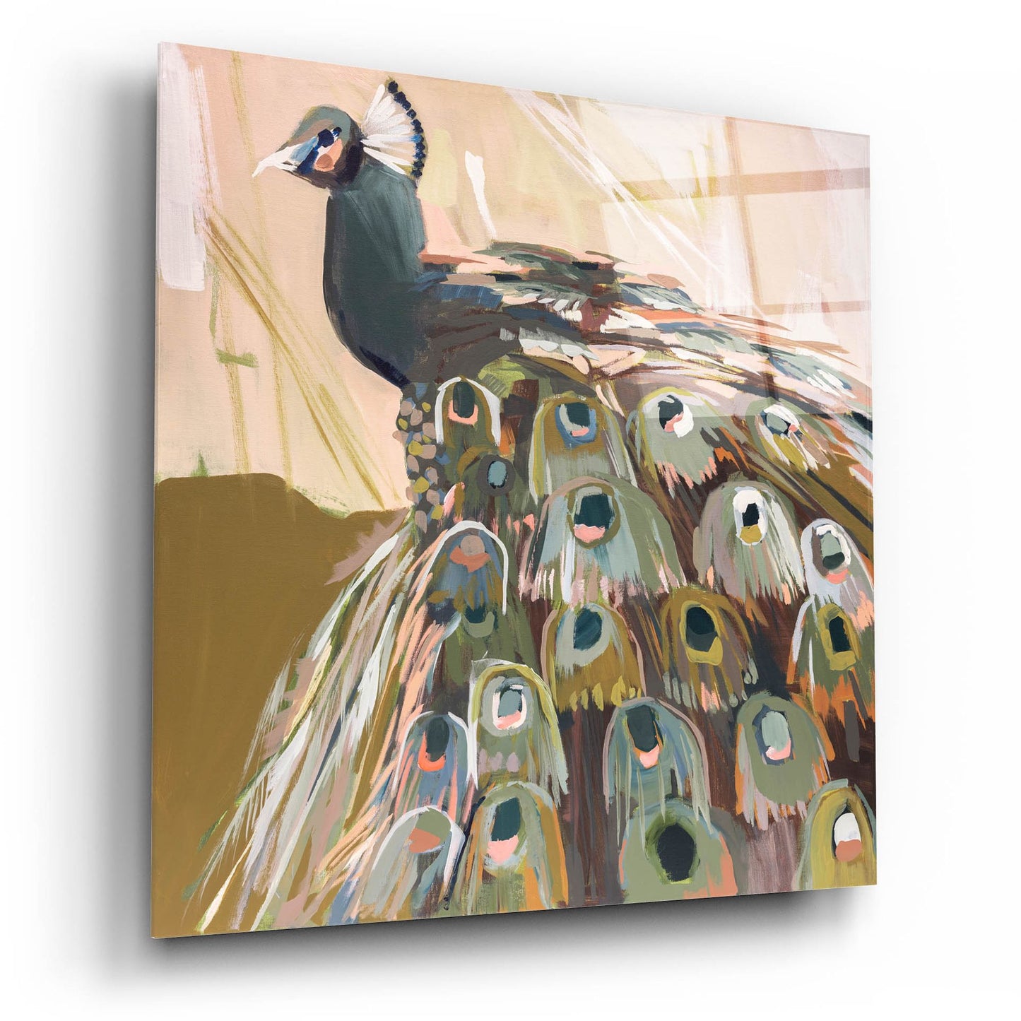 Epic Art 'Peacock Olive' by Jenny Westenhofer, Acrylic Glass Wall Art,12x12