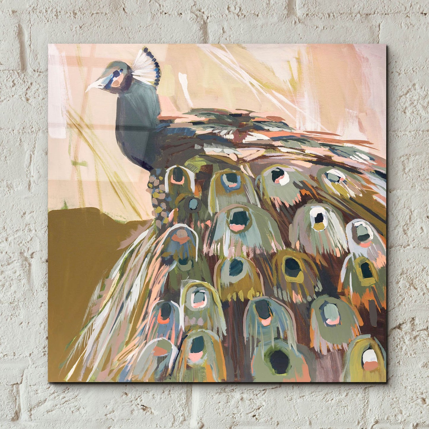 Epic Art 'Peacock Olive' by Jenny Westenhofer, Acrylic Glass Wall Art,12x12