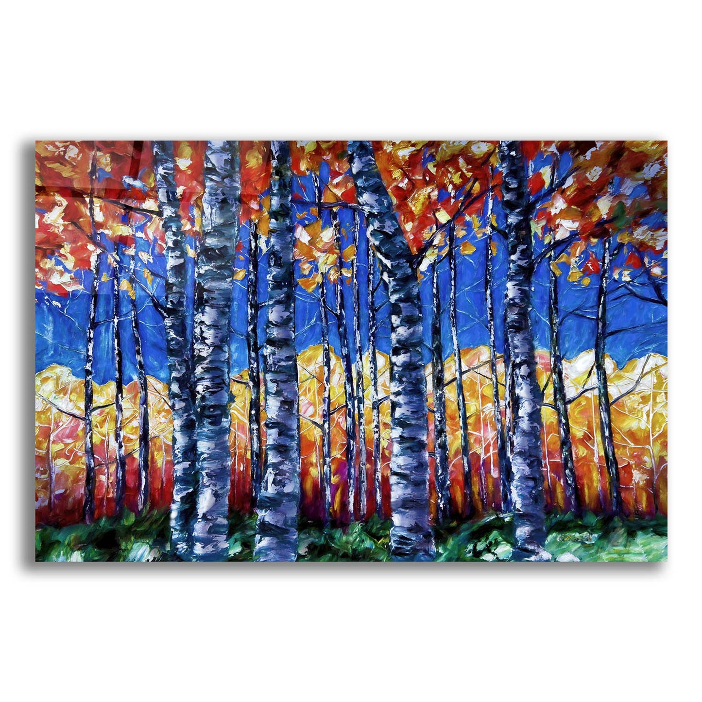 Epic Art 'Aspen Trees Autumn Canopy' by Lena Owens, Acrylic Glass Wall Art,24x16