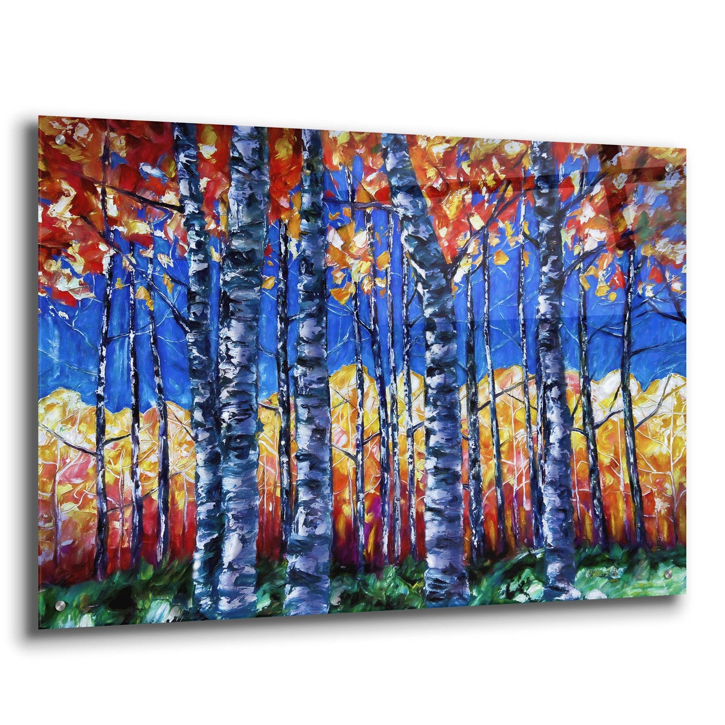 Epic Art 'Aspen Trees Autumn Canopy' by Lena Owens, Acrylic Glass Wall Art,36x24