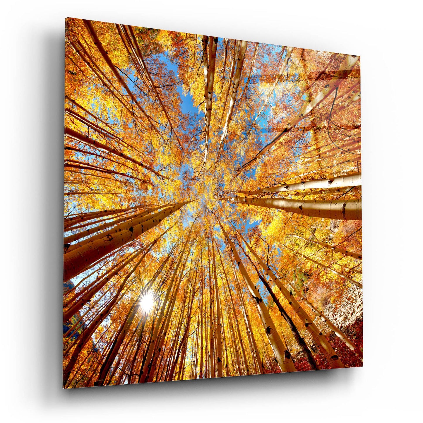 Epic Art 'Colorado Autumn Splendor' by Lena Owens, Acrylic Glass Wall Art,12x12