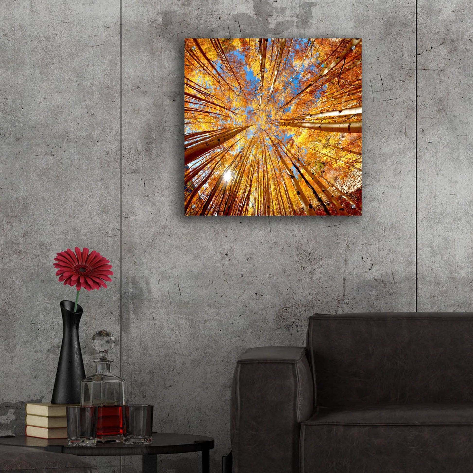 Epic Art 'Colorado Autumn Splendor' by Lena Owens, Acrylic Glass Wall Art,24x24