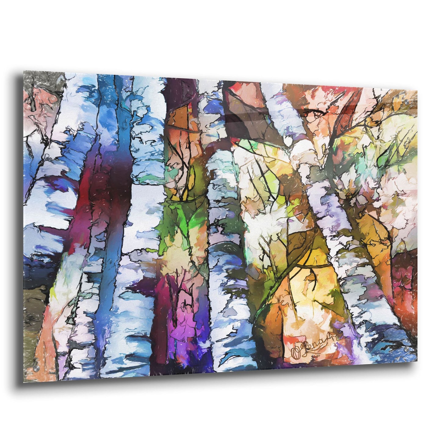 Epic Art 'White Aspen and Birch Trees' by Lena Owens, Acrylic Glass Wall Art,36x24