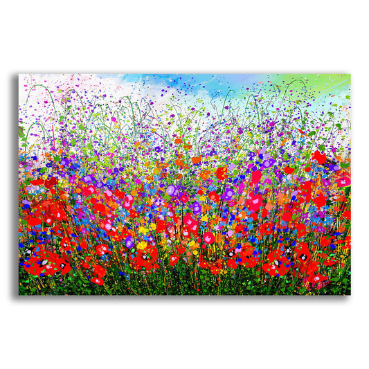 Epic Art 'Wildflower Celebration Meadow' by Lena Owens, Acrylic Glass Wall Art