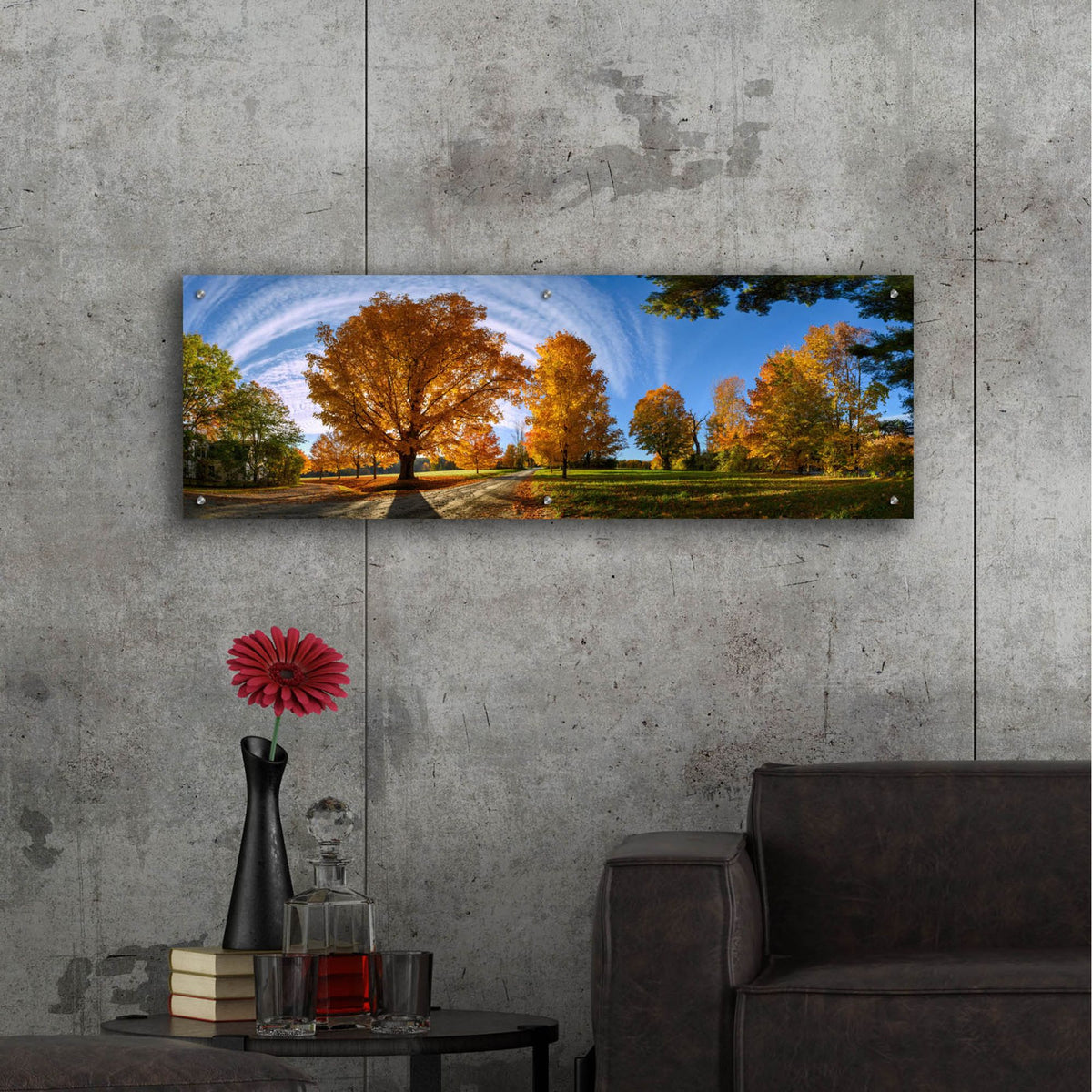 Epic Art 'At Countryside Rural Road New England Panorama' by Lena Owens, Acrylic Glass Wall Art,48x16