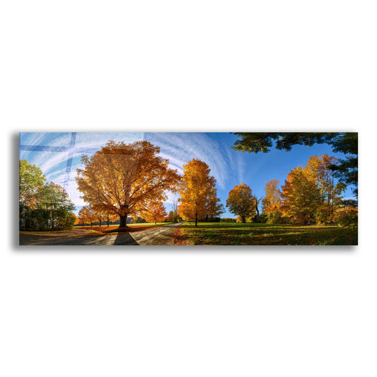 Epic Art 'At Countryside Rural Road New England Panorama' by Lena Owens, Acrylic Glass Wall Art