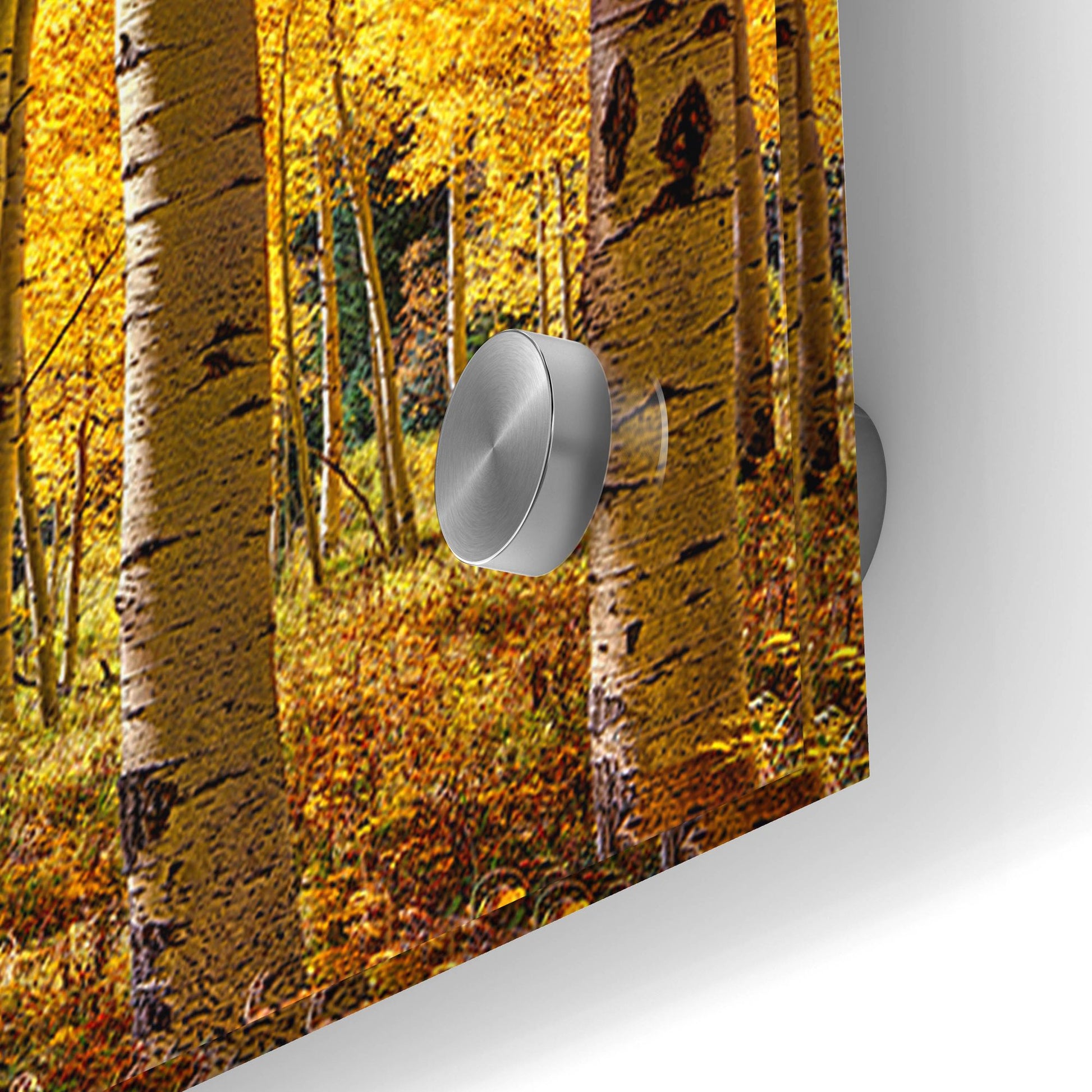 Epic Art 'Autumn Aspen Forest  Colorado Panorama' by Lena Owens, Acrylic Glass Wall Art,36x12