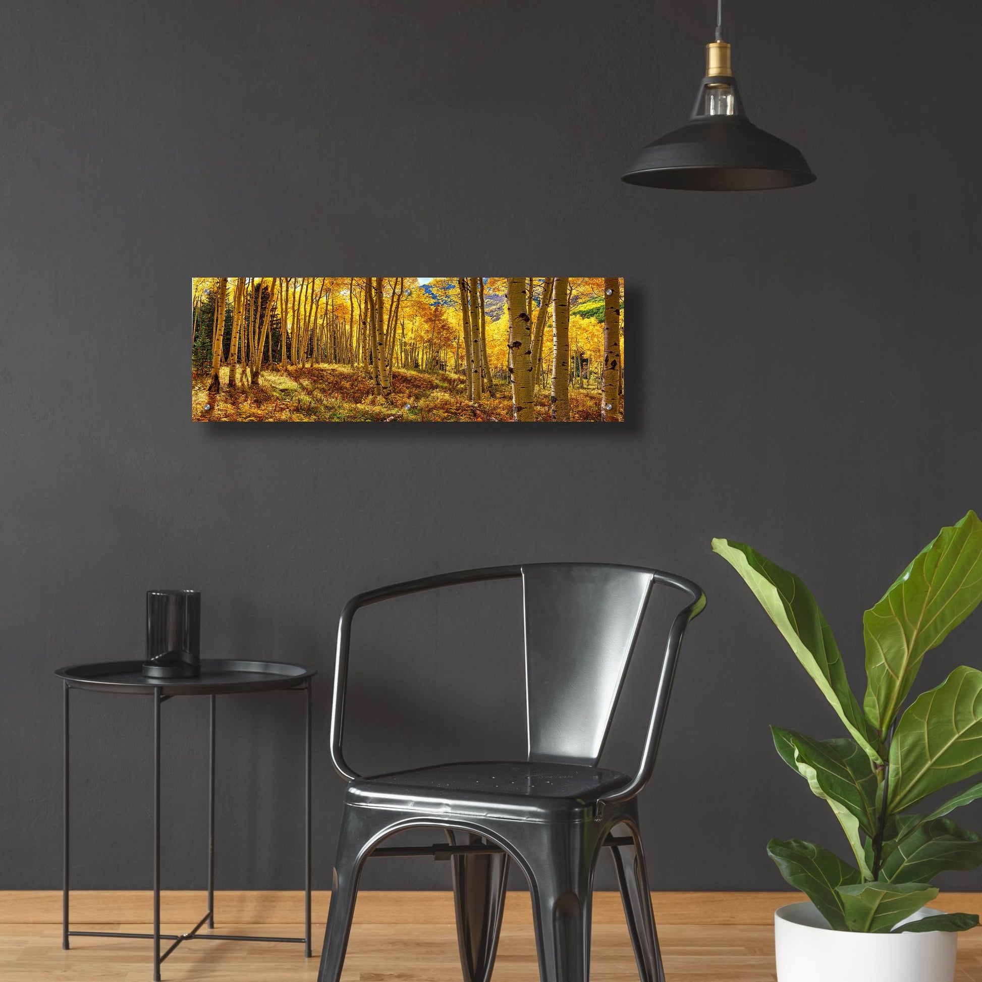 Epic Art 'Autumn Aspen Forest  Colorado Panorama' by Lena Owens, Acrylic Glass Wall Art,36x12