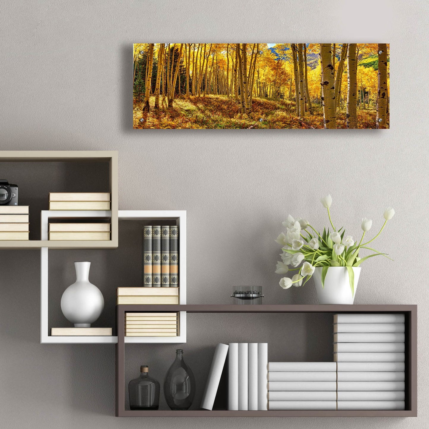 Epic Art 'Autumn Aspen Forest  Colorado Panorama' by Lena Owens, Acrylic Glass Wall Art,36x12