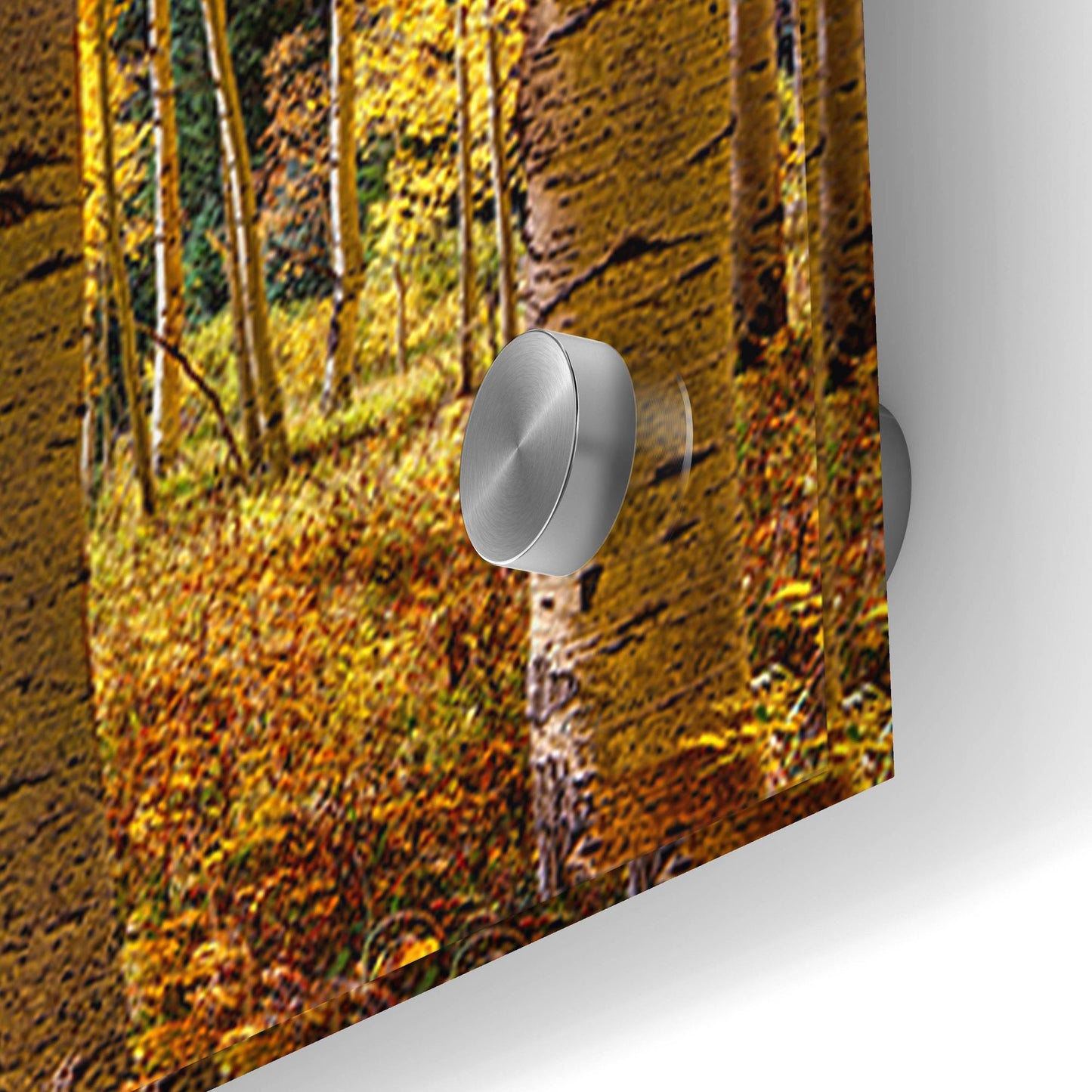 Epic Art 'Autumn Aspen Forest  Colorado Panorama' by Lena Owens, Acrylic Glass Wall Art,48x16