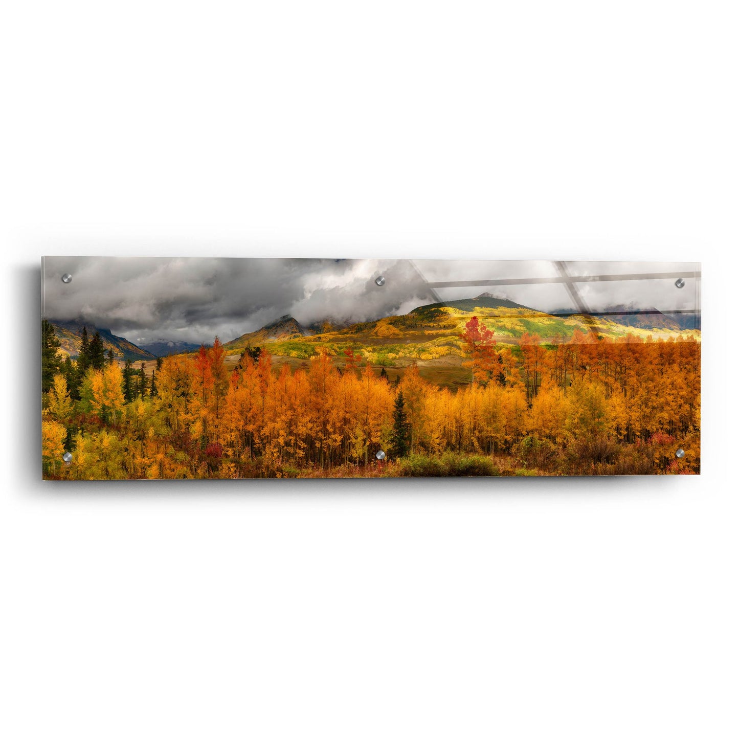 Epic Art 'Autumn Colors At Sunset in Crested Butte Panorama' by Lena Owens, Acrylic Glass Wall Art,36x12