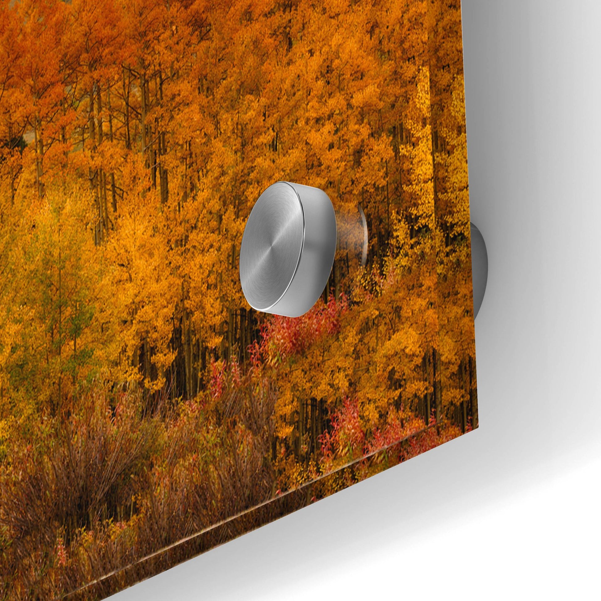 Epic Art 'Autumn Colors At Sunset in Crested Butte Panorama' by Lena Owens, Acrylic Glass Wall Art,36x12