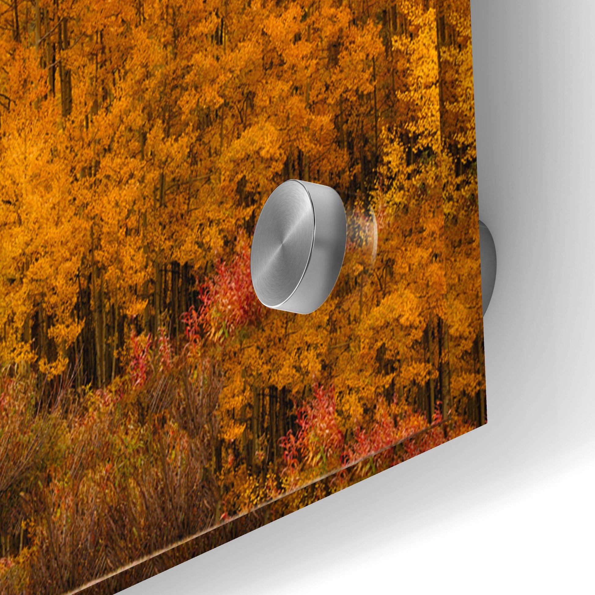 Epic Art 'Autumn Colors At Sunset in Crested Butte Panorama' by Lena Owens, Acrylic Glass Wall Art,48x16
