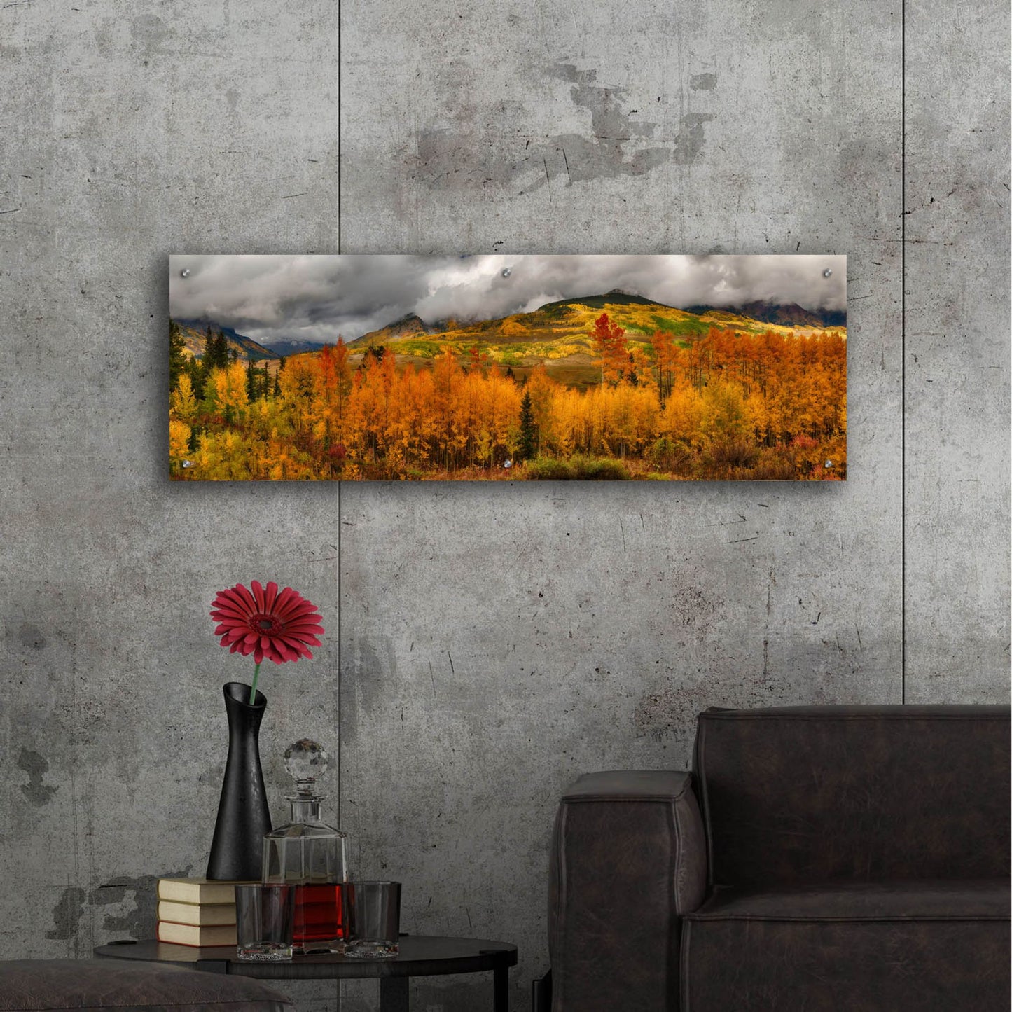 Epic Art 'Autumn Colors At Sunset in Crested Butte Panorama' by Lena Owens, Acrylic Glass Wall Art,48x16