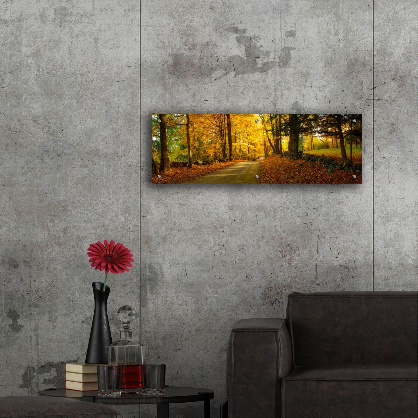 Epic Art 'Countryside Road Woodstock Vermont Panorama' by Lena Owens, Acrylic Glass Wall Art,36x12