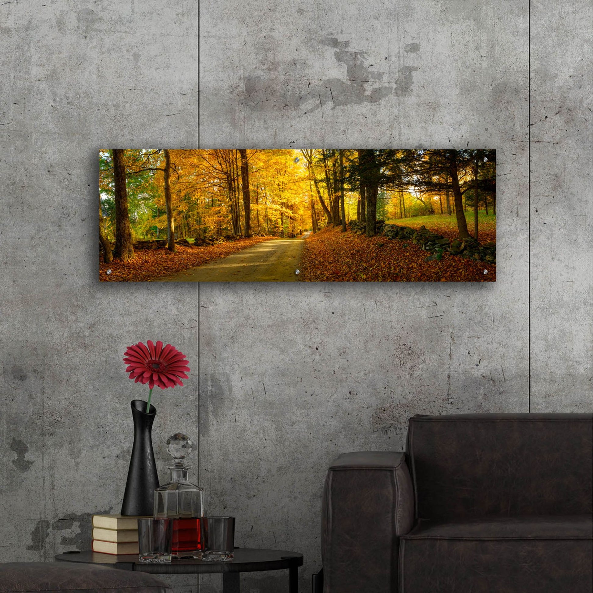 Epic Art 'Countryside Road Woodstock Vermont Panorama' by Lena Owens, Acrylic Glass Wall Art,48x16