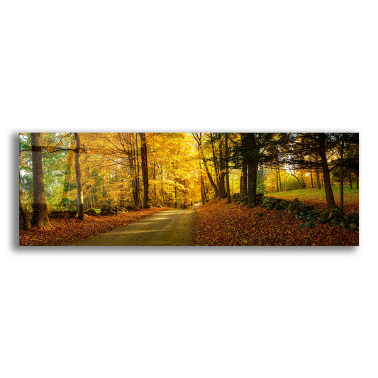 Epic Art 'Countryside Road Woodstock Vermont Panorama' by Lena Owens, Acrylic Glass Wall Art