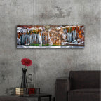 Epic Art 'Hanging Lake Colorado Winter Panorama ' by Lena Owens, Acrylic Glass Wall Art,48x16