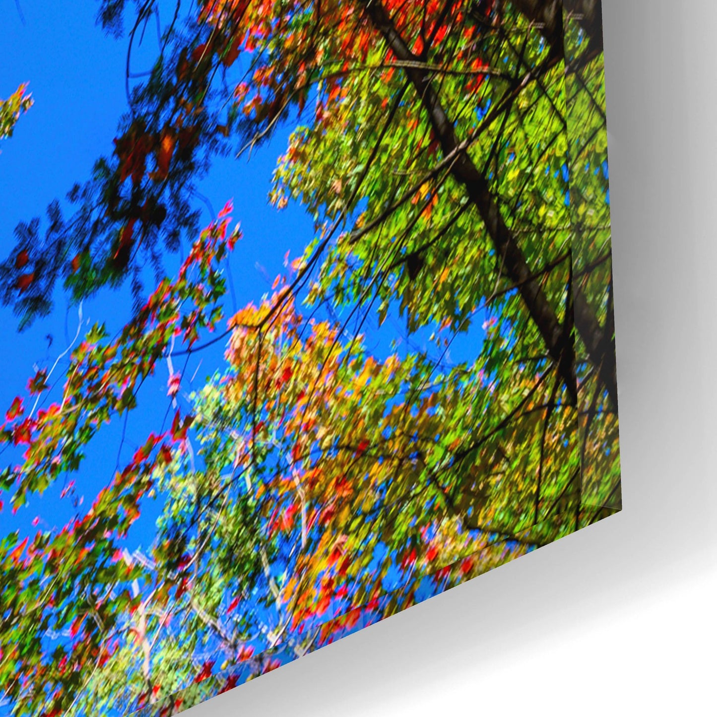 Epic Art 'Colorful Autumn' by Lena Owens, Acrylic Glass Wall Art,12x12