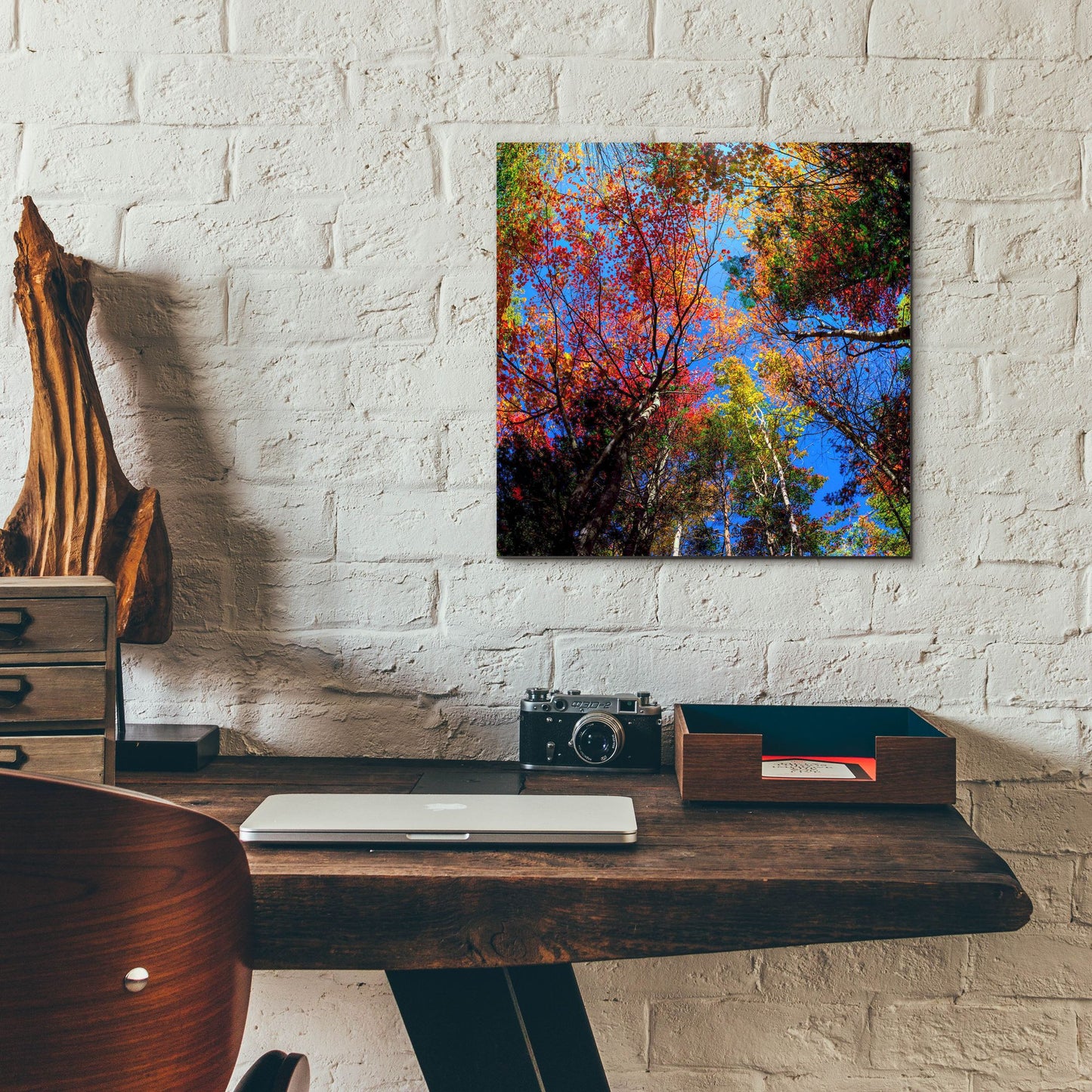 Epic Art 'Colorful Autumn' by Lena Owens, Acrylic Glass Wall Art,12x12